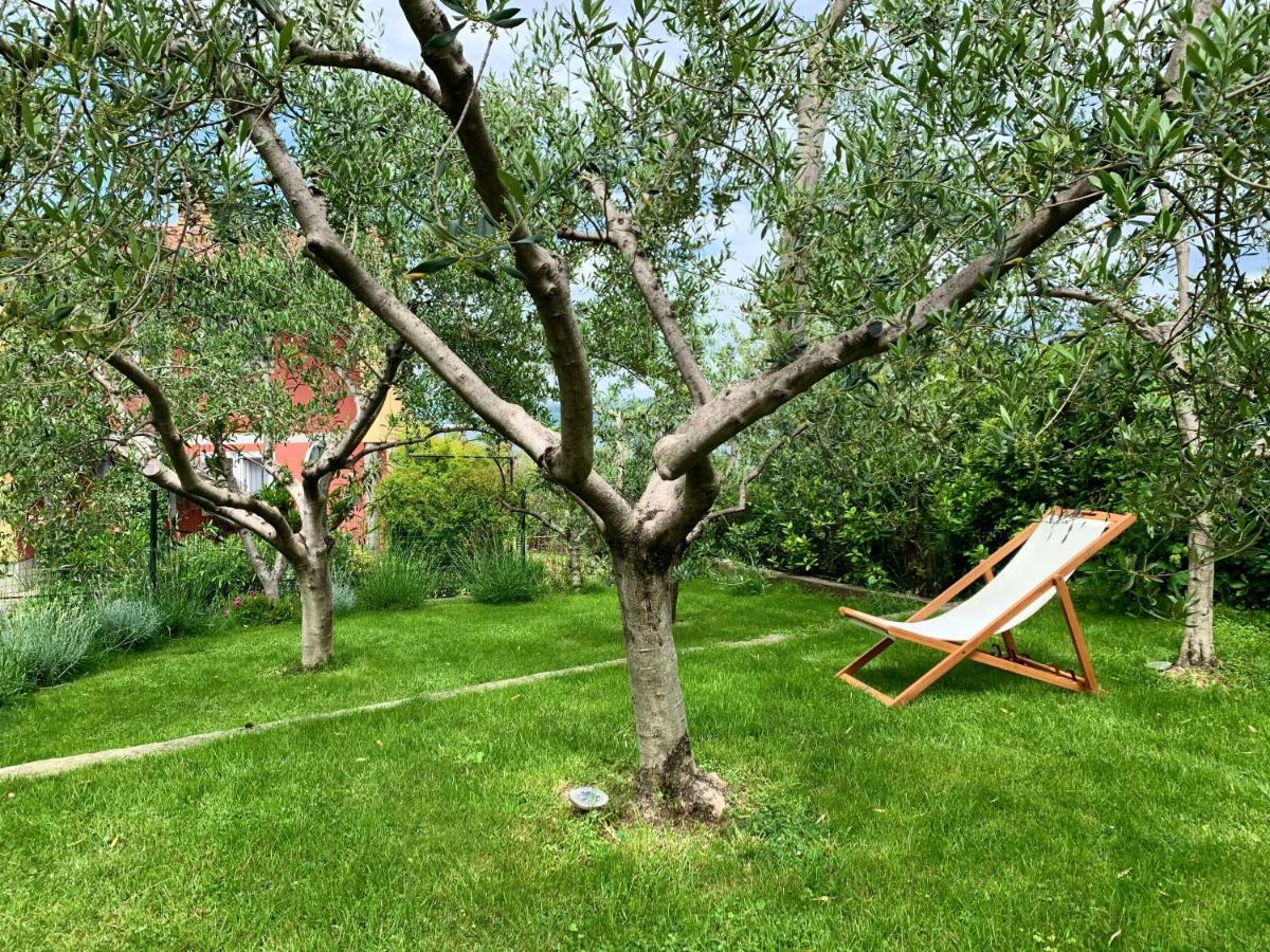 Aloha Apartments Κόπερ Εξωτερικό φωτογραφία