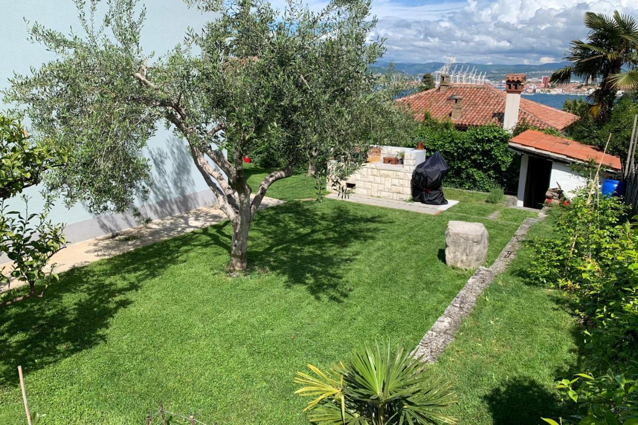 Aloha Apartments Κόπερ Εξωτερικό φωτογραφία