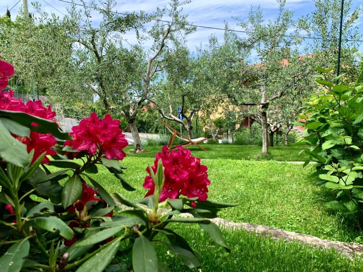 Aloha Apartments Κόπερ Εξωτερικό φωτογραφία